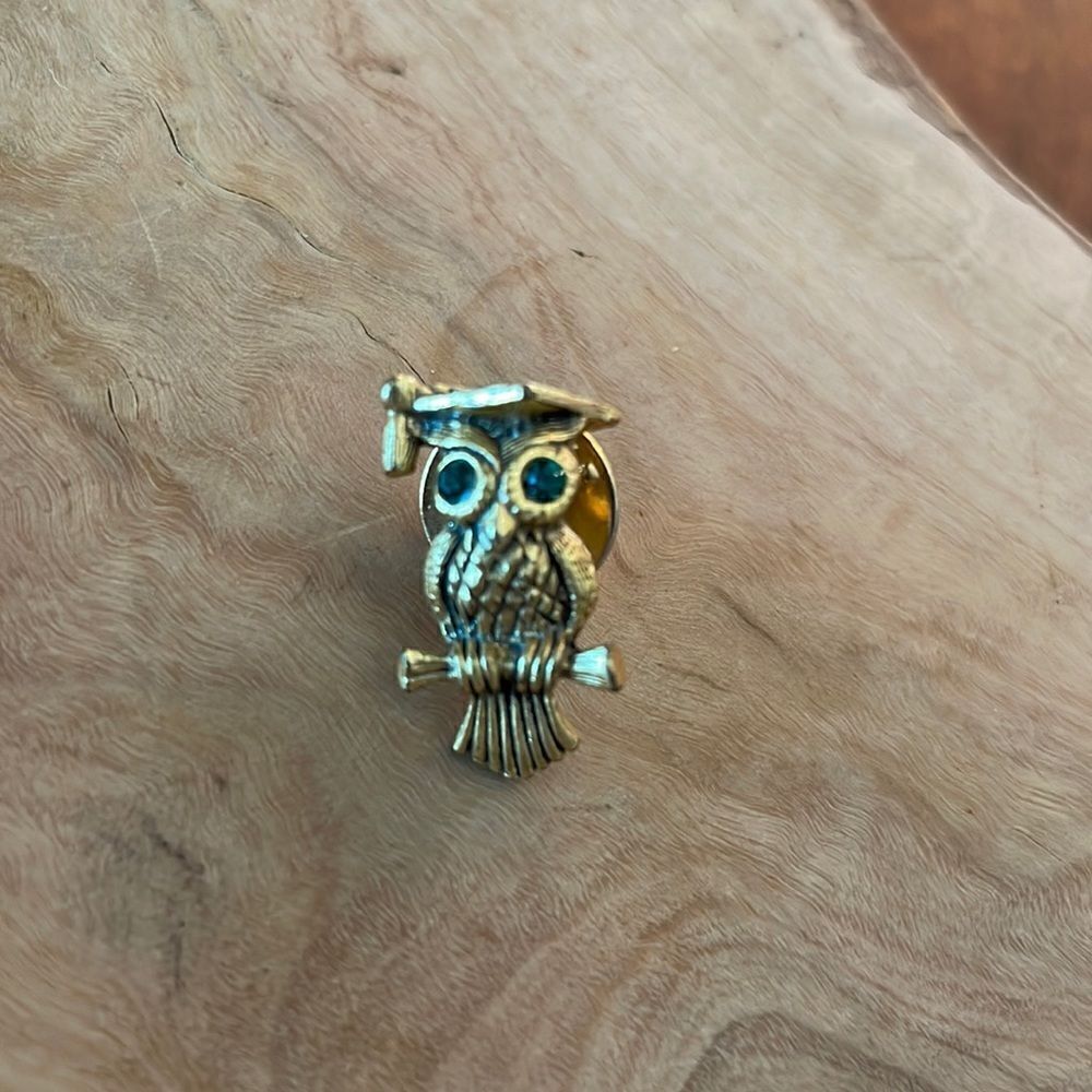 Vintage Tiny Goldtone Graduation Owl Pin